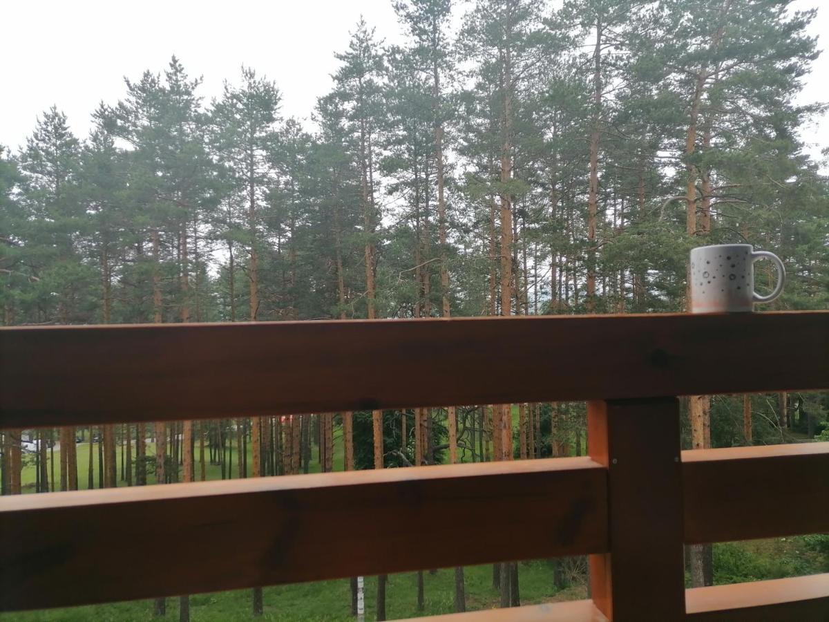 Nele Apartment *