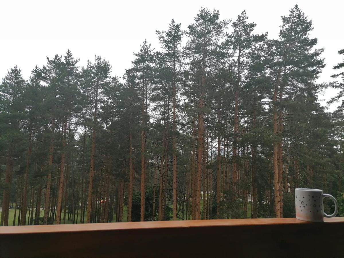 Nele Zlatibor